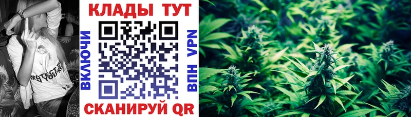 Где купить наркотики Качканар Каннабис