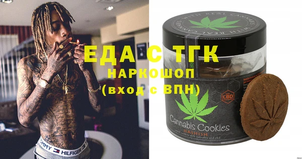 СК Новозыбков