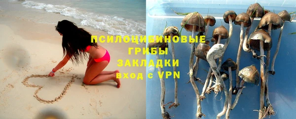 СК Новозыбков