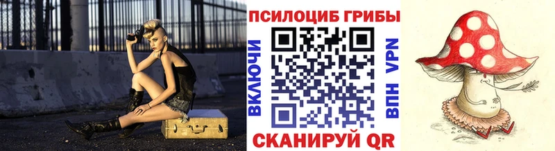 сколько стоит  Качканар  Псилоцибиновые грибы GOLDEN TEACHER 