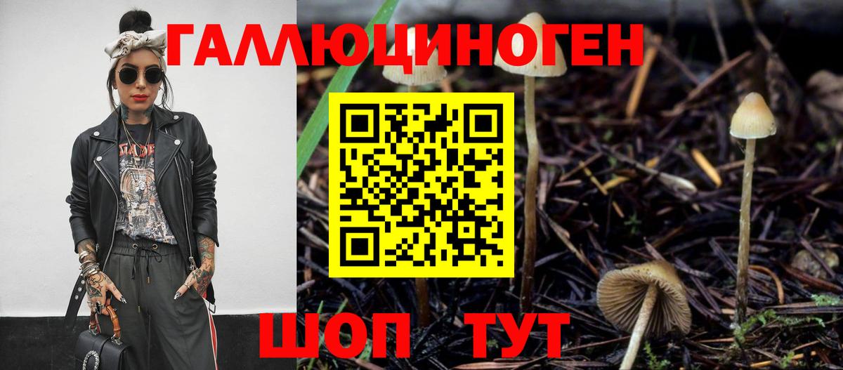 Псилоцибиновые грибы Psilocybine cubensis  Вход с VPN  наркотики  Качканар  Псилоцибиновые грибы MAGIC MUSHROOMS 